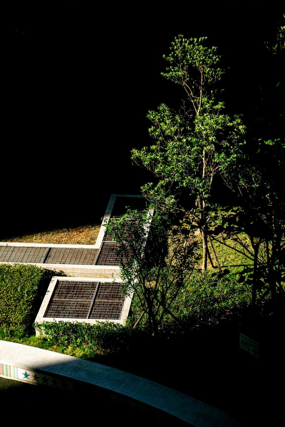 Net-Zero Family Home